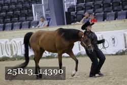 25R13_14390 thumbnail