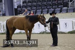 25R13_14391 thumbnail