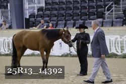 25R13_14392 thumbnail