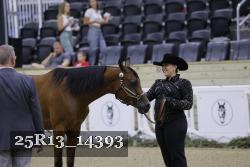 25R13_14393 thumbnail