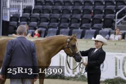 25R13_14399 thumbnail