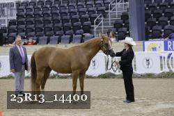 25R13_14400 thumbnail