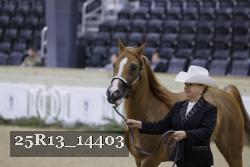 25R13_14403 thumbnail