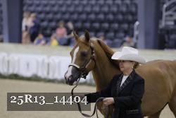 25R13_14404 thumbnail