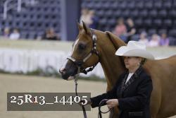 25R13_14405 thumbnail