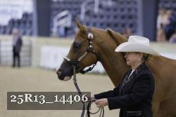 25R13_14406 thumbnail
