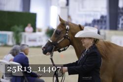 25R13_14407 thumbnail