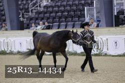 25R13_14434 thumbnail