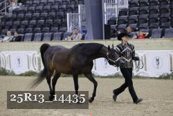 25R13_14435 thumbnail