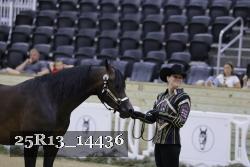 25R13_14436 thumbnail