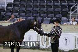 25R13_14437 thumbnail