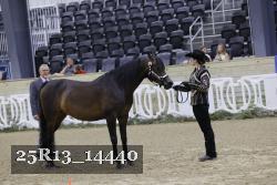 25R13_14440 thumbnail