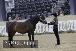 25R13_14441 thumbnail