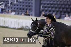 25R13_14443 thumbnail
