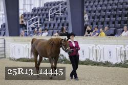 25R13_14445 thumbnail