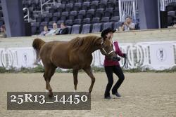 25R13_14450 thumbnail