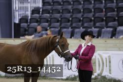 25R13_14452 thumbnail