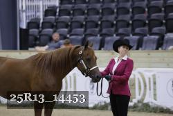 25R13_14453 thumbnail