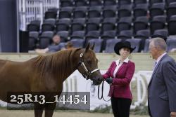 25R13_14454 thumbnail