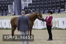 25R13_14455 thumbnail