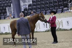 25R13_14456 thumbnail