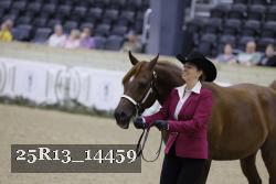 25R13_14459 thumbnail