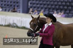 25R13_14460 thumbnail