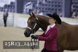 25R13_14461 thumbnail