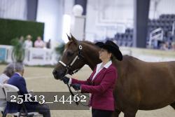 25R13_14462 thumbnail
