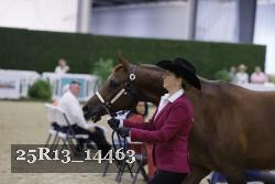 25R13_14463 thumbnail
