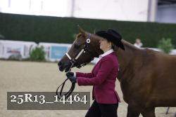 25R13_14464 thumbnail