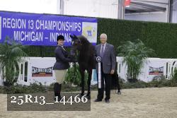 25R13_14466 thumbnail