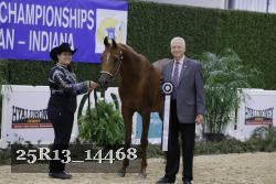 25R13_14468 thumbnail