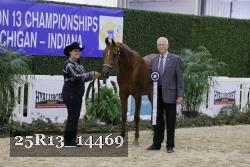 25R13_14469 thumbnail