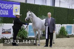 25R13_14471 thumbnail