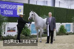 25R13_14472 thumbnail