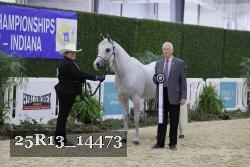 25R13_14473 thumbnail
