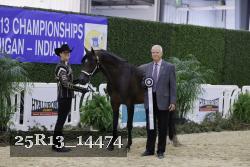 25R13_14474 thumbnail