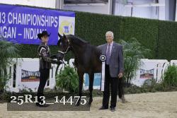 25R13_14475 thumbnail