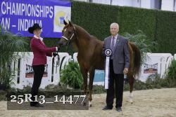 25R13_14477 thumbnail