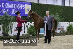 25R13_14478 thumbnail
