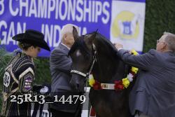 25R13_14479 thumbnail