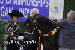 25R13_14480 thumbnail