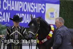 25R13_14482 thumbnail