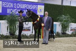 25R13_14486 thumbnail
