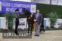 25R13_14487 thumbnail
