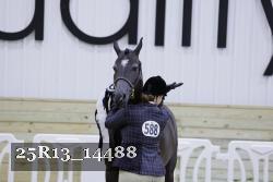 25R13_14488 thumbnail