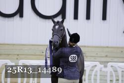 25R13_14489 thumbnail