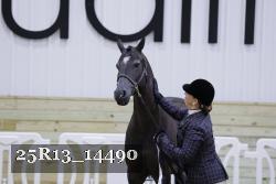 25R13_14490 thumbnail