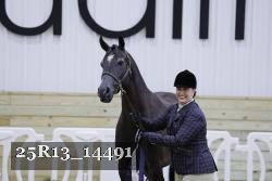25R13_14491 thumbnail